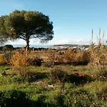 Antica Tenuta *