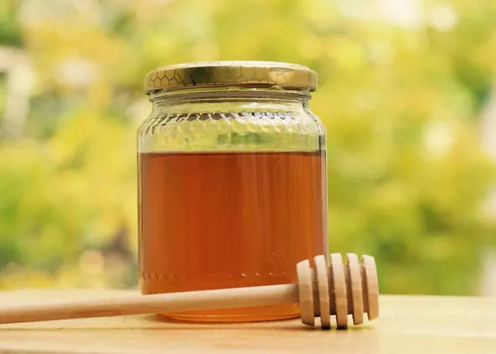 Agroturismo Antica Tenuta