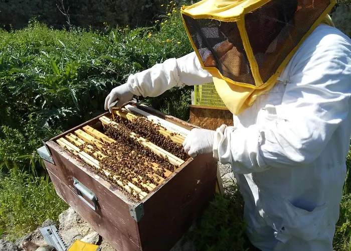 Antica Tenuta Agroturismo *