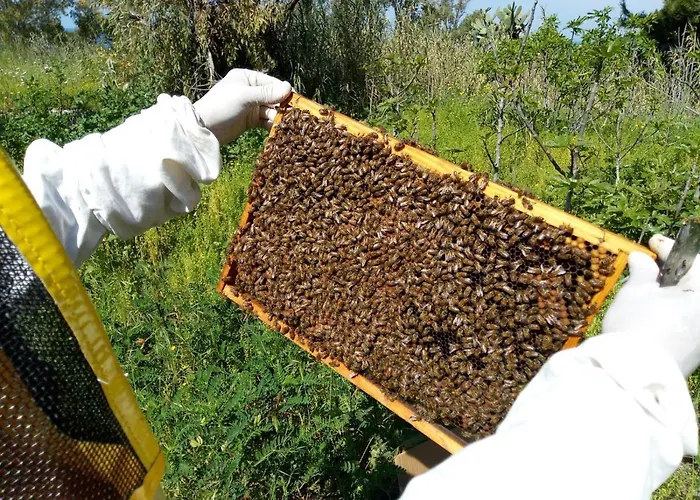 Antica Tenuta Agroturismo Gallipoli