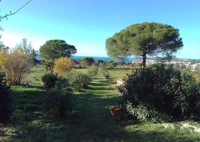 Farm stay Antica Tenuta *